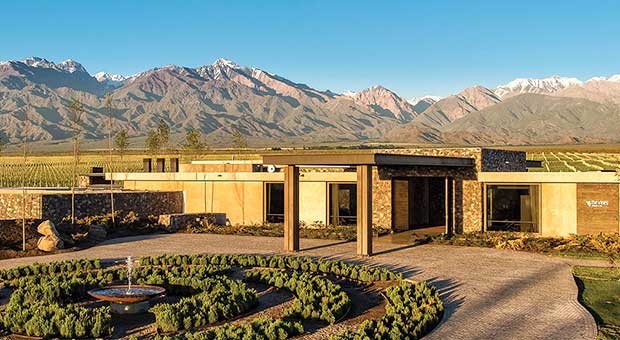 The Vines Wine Program