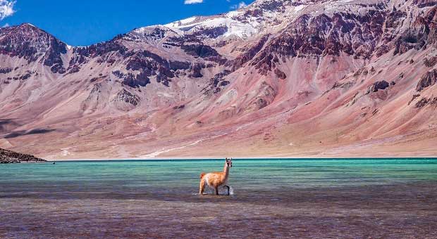 Laguna del Diamante