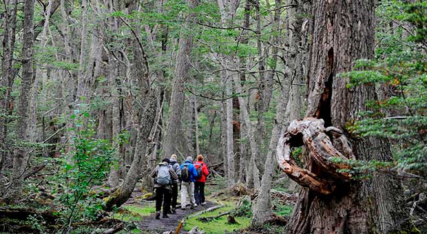 Ushuaia National Park, Trekking & Canoeing - Image 3