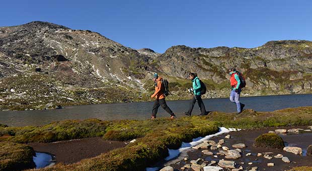Tierra del Fuego National Park 6 hs.