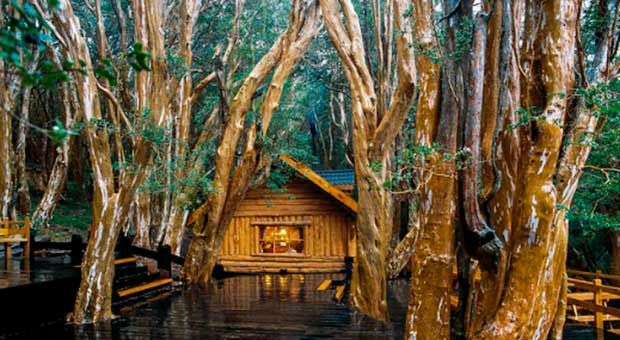 Nahuel Huapi and Arrayanes Forest Private Yacht