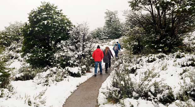 National Park Tierra del Fuego Winter Experience