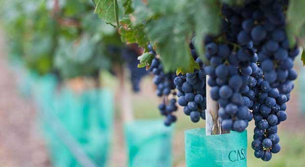 Casa de Uco Adventure and Wine Master Suite 3 nights