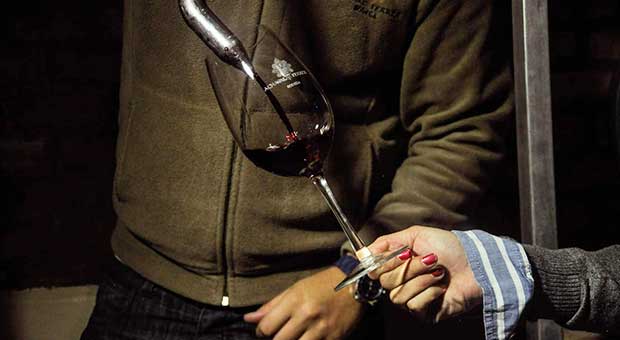 Wine Tour Premium 3 Vineyards - Image 3
